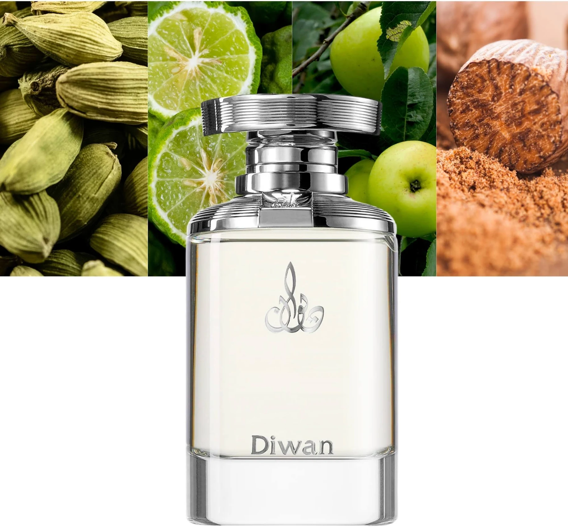 Arabian Oud Diwan 50ml